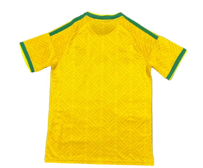 South Africa Home Kit 2026