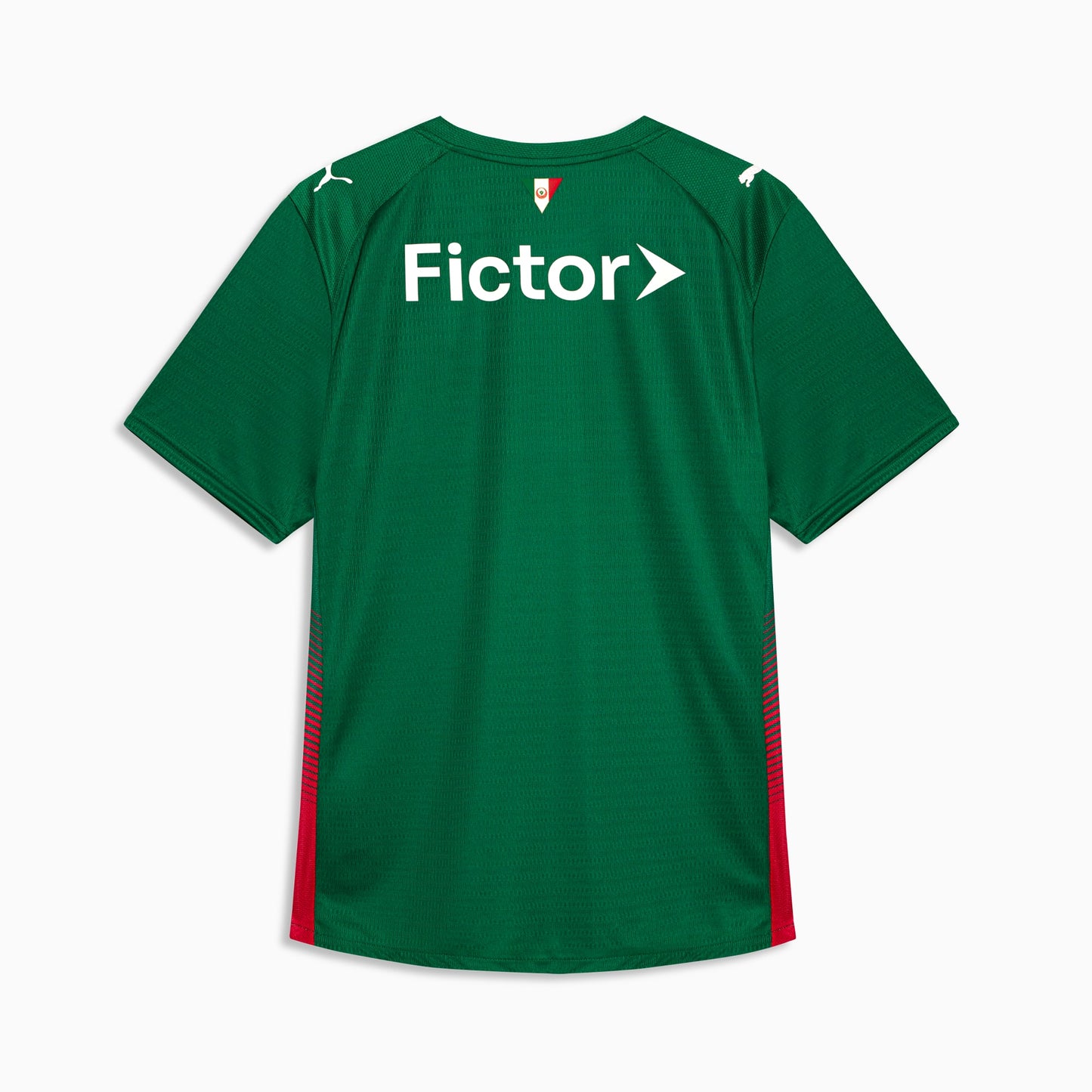 Palmeiras Home Kit 2026